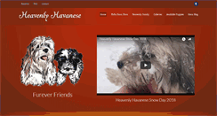 Desktop Screenshot of heavenlyhavanese.net